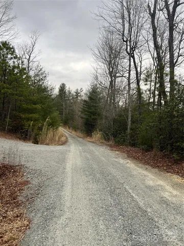 a view of a field with trees in the background