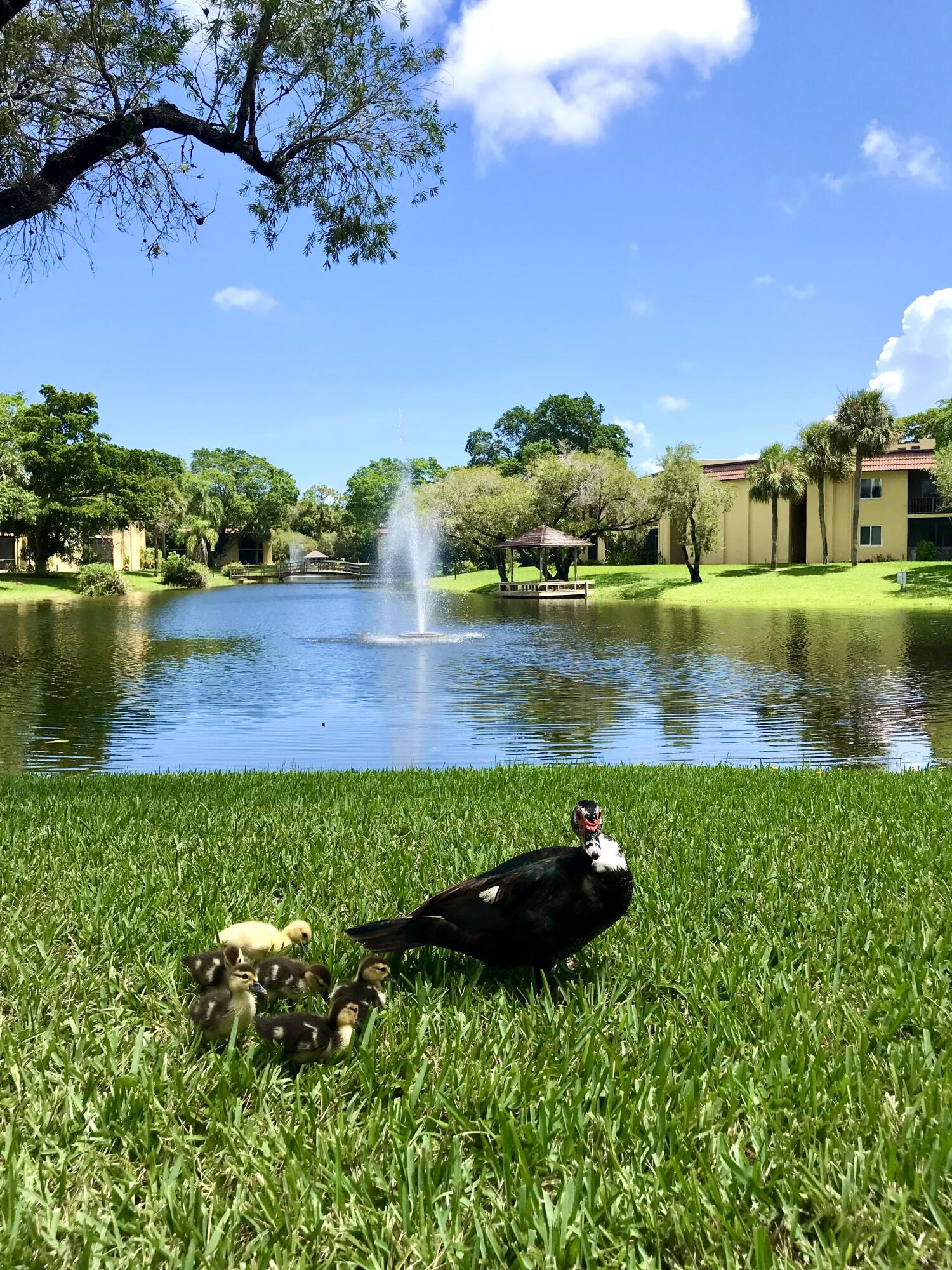 830 Southwest 9th St Circle, Unit 201 Boca Raton, FL 33486 - Photo 1 of 15 IMG_6328