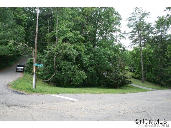 9999 Maplewood Road Asheville, NC 28804 - Photo 2 of 4 Gallery Image 2