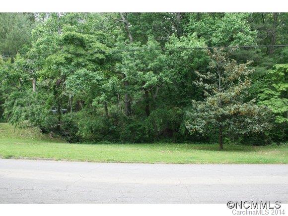 9999 Maplewood Road Asheville, NC 28804 - Photo 4 of 4 Gallery Image 4