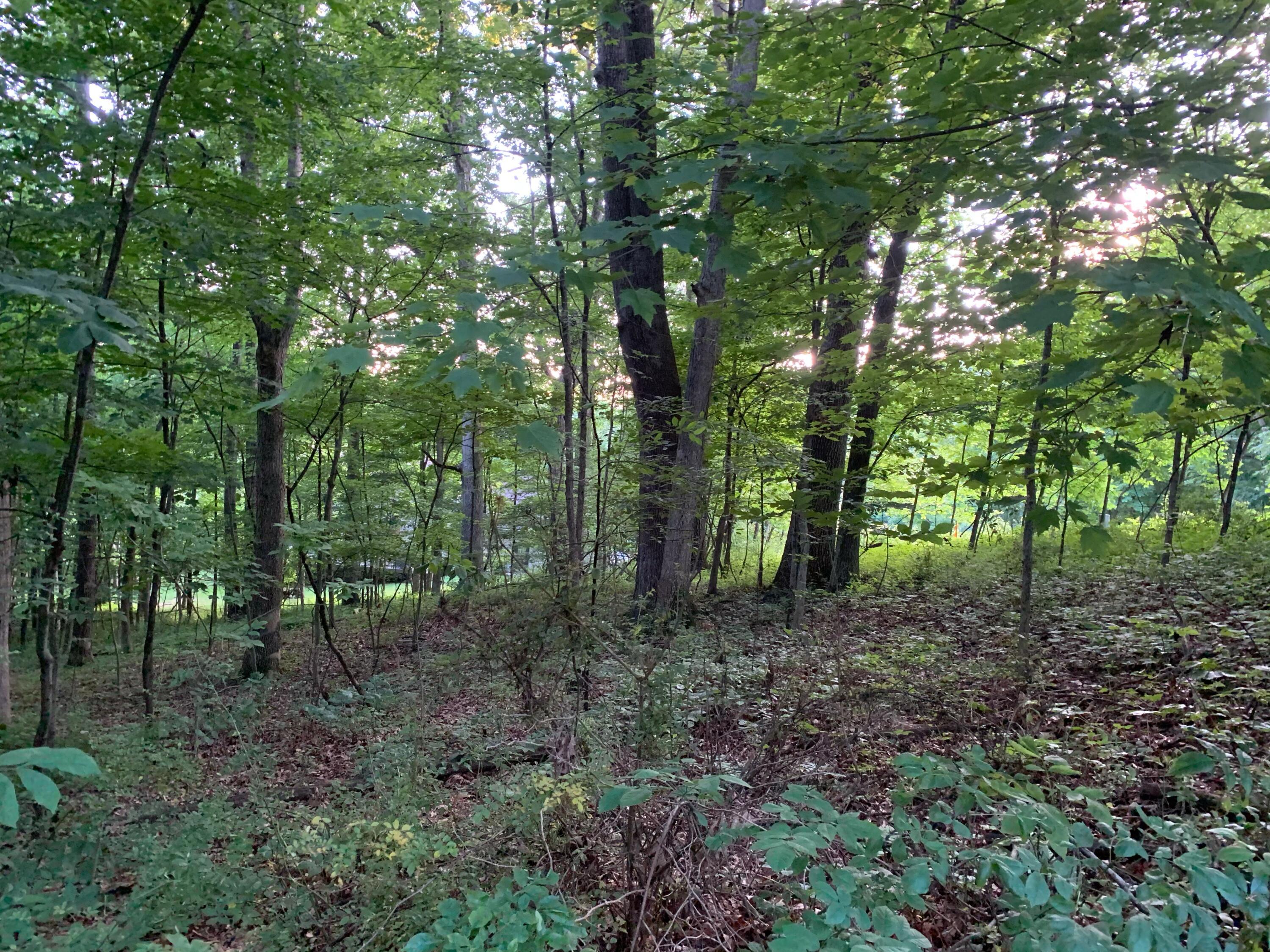 0 Grand Valley Road Howard, OH 43028 - Photo 1 of 8