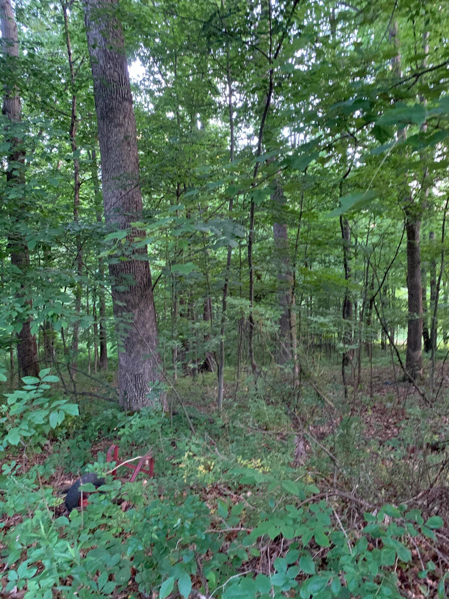 0 Grand Valley Road Howard, OH 43028 - Photo 2 of 8