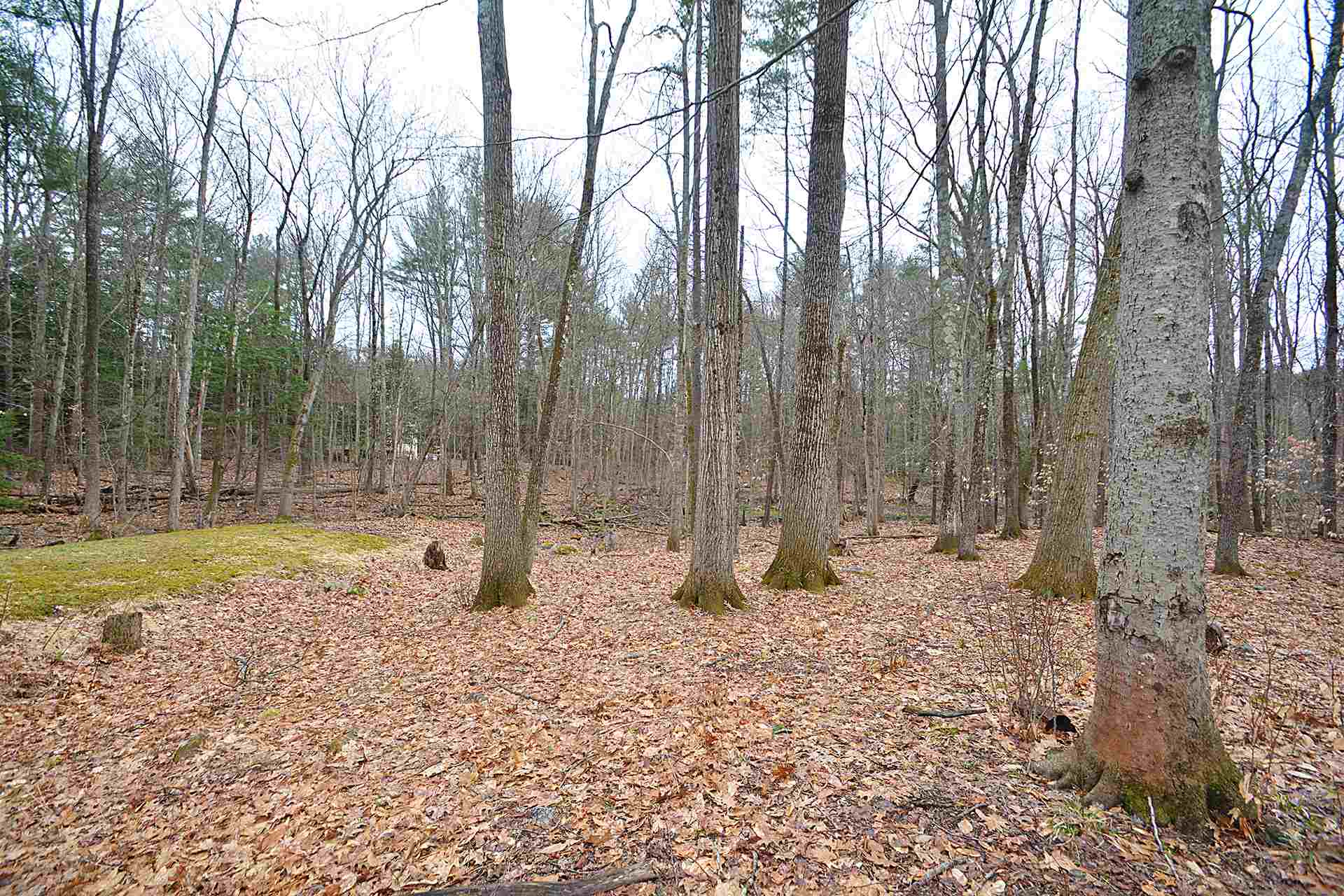 3 Woodridge Road Durham, NH 03824 - Photo 13 of 40