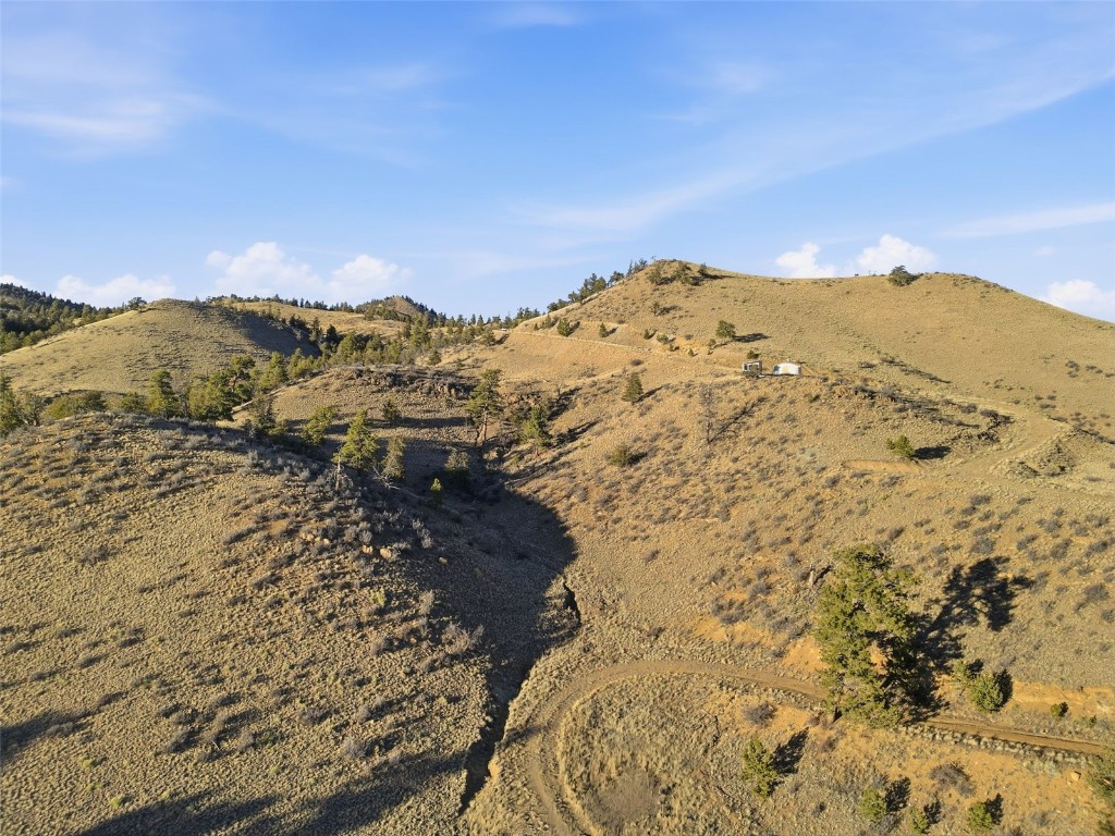 3490 Clear Creek Road Hartsel, CO 80449 - Photo 25 of 39 a view of a dry yard