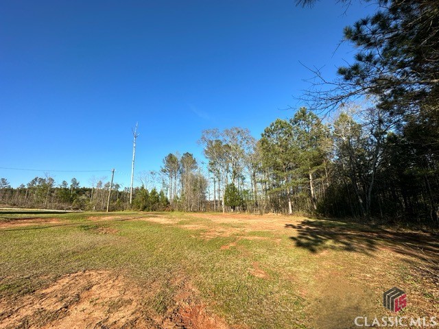1 Dora Bush Hill Road McRae-Helena, GA 31037 - Photo 23 of 32
