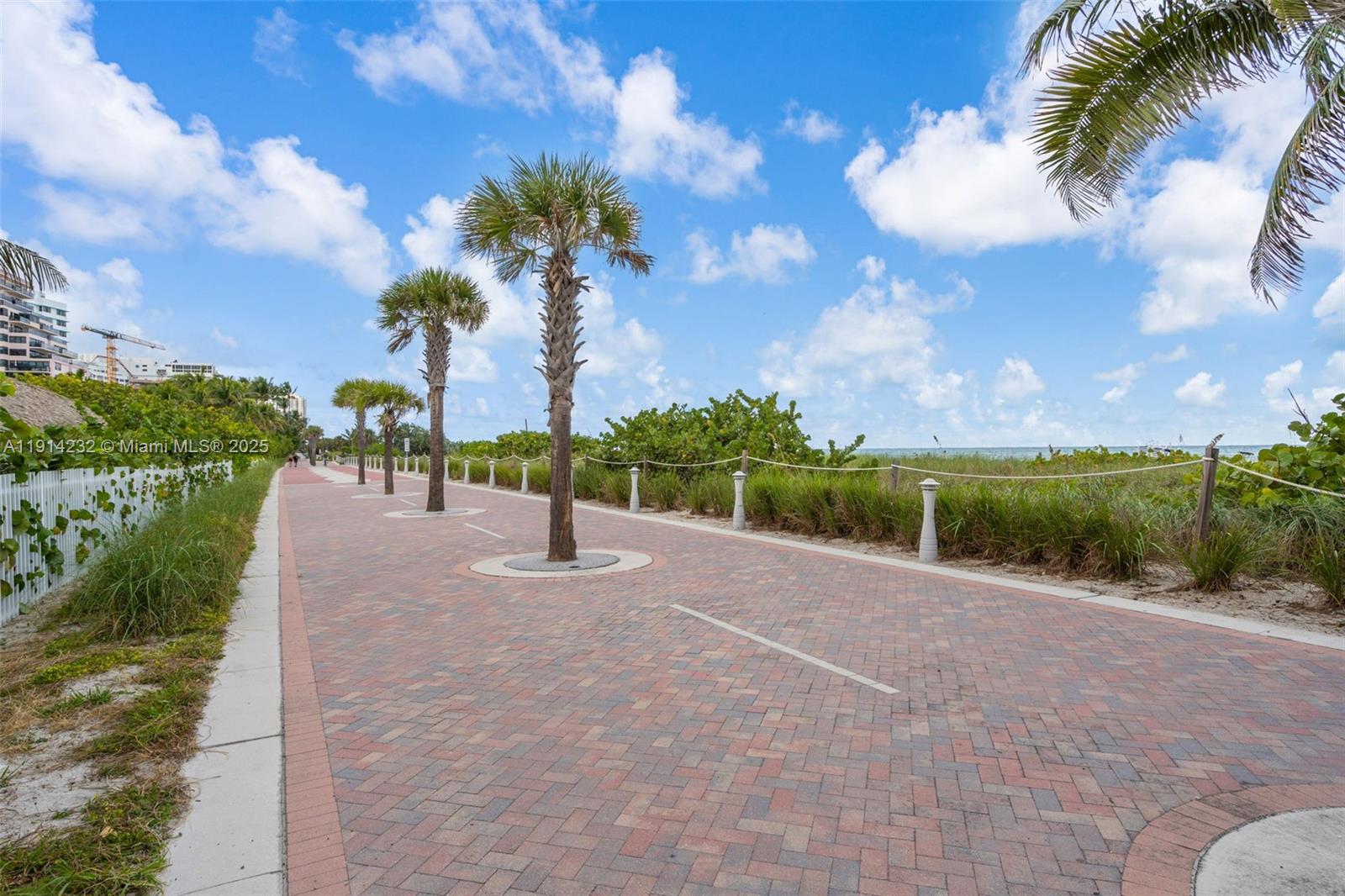 5101 Collins Avenue, Unit 12U Miami Beach, FL 33140 - Photo 22 of 26 a view of a park