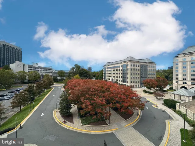a view of a park with bench and trees