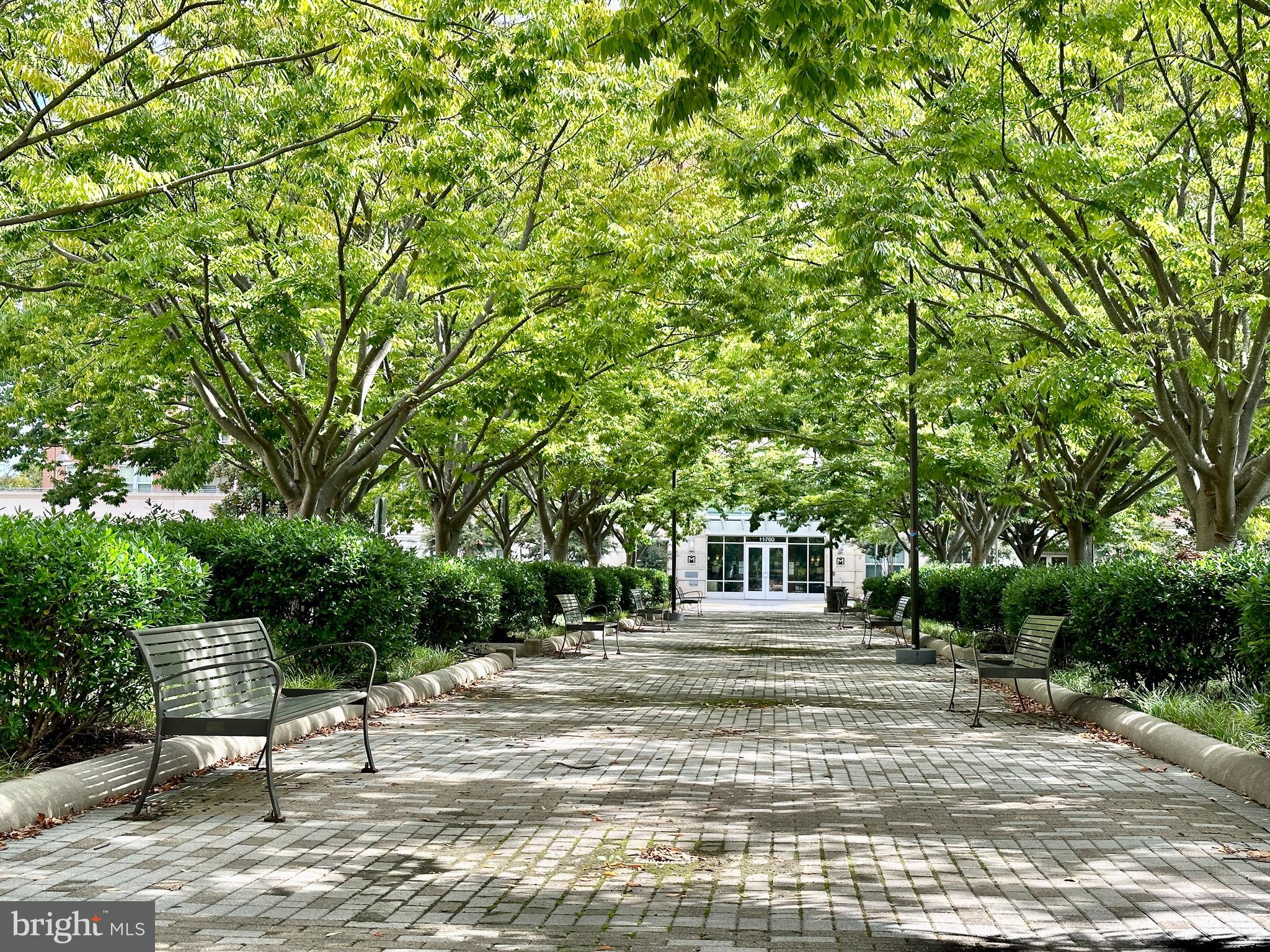 11760 Sunrise Valley Drive, Unit 512 Reston, VA 20191 - Photo 18 of 19 a view of a park with bench and trees