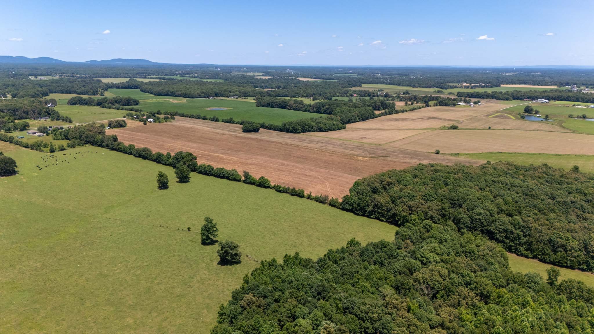 0 Brown Road Woodbury, TN 37190 - Photo 19 of 34