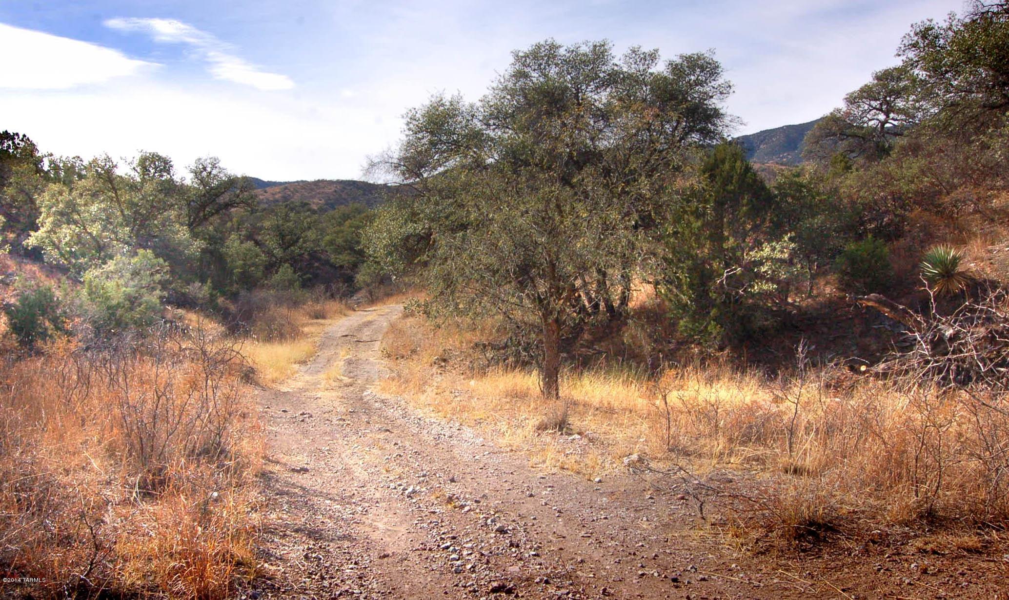 Canyon Road Patagonia, AZ 85624 - Photo 12 of 34