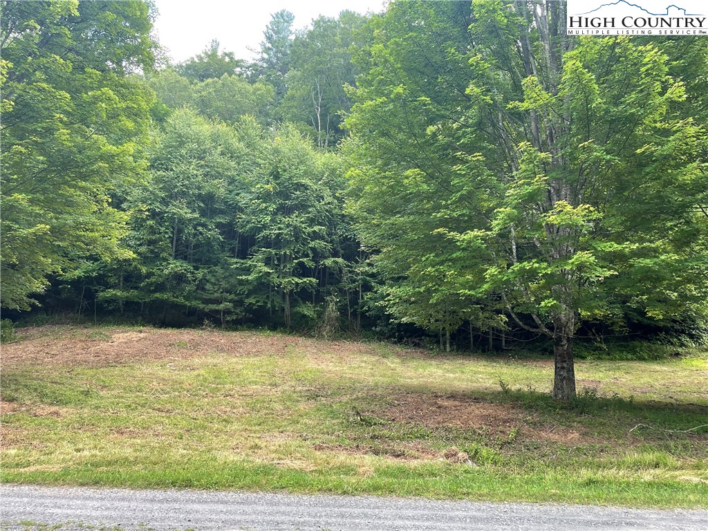 Forest Ridge Fleetwood, NC 28626 - Photo 13 of 14 a view of a lake view