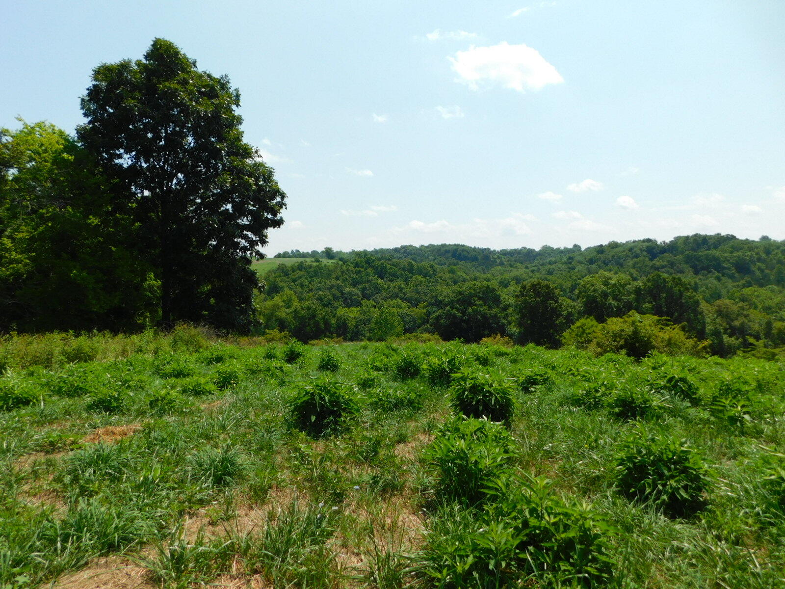 490 Huff Road Dry Ridge, KY 41035 - Photo 49 of 49 Gallery Image 49