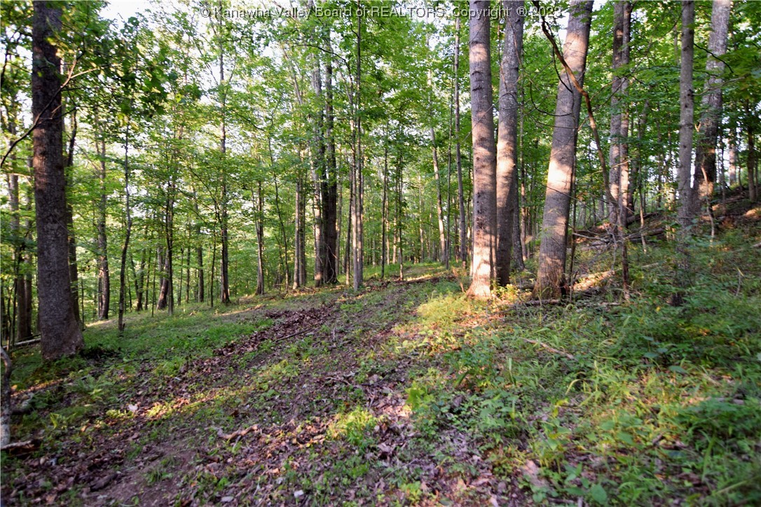 4643 Statts Mills Road Ripley, WV 25271 - Photo 24 of 41 Gallery Image 24