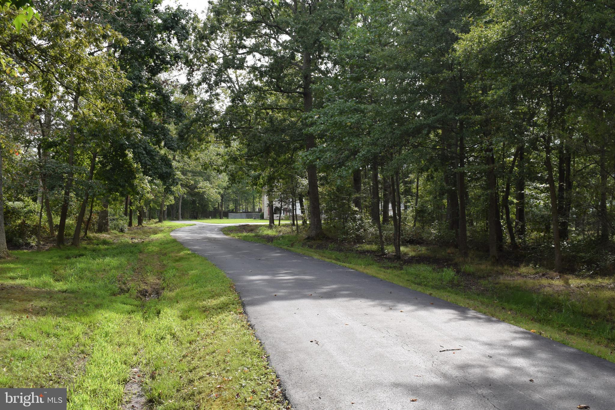12469 Sub-Station Road Waldorf, MD 20601 - Photo 4 of 62 Long, driveway to your privately setting. HOME