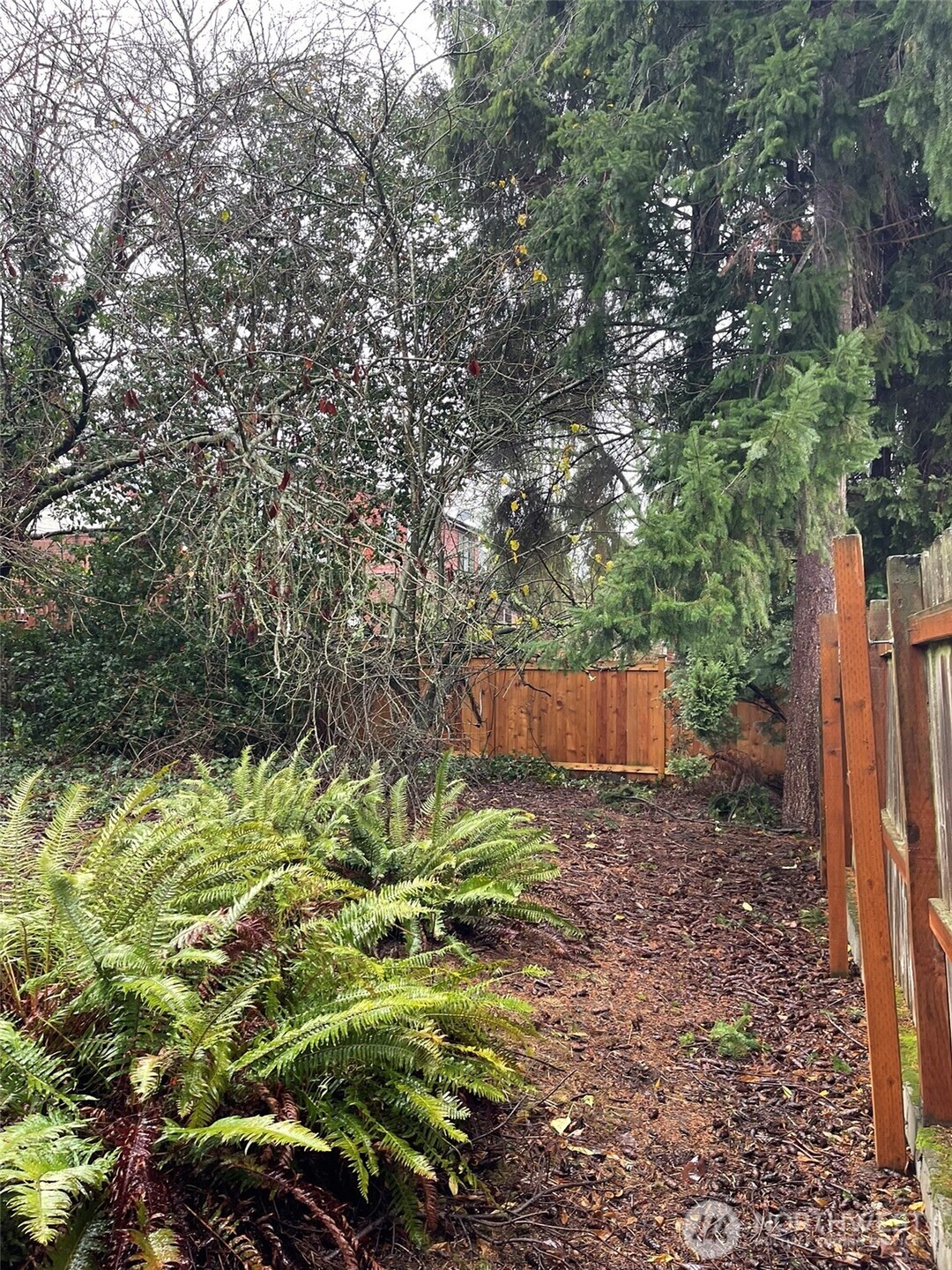 7332 9th Avenue Northwest Seattle, WA 98117 - Photo 8 of 11