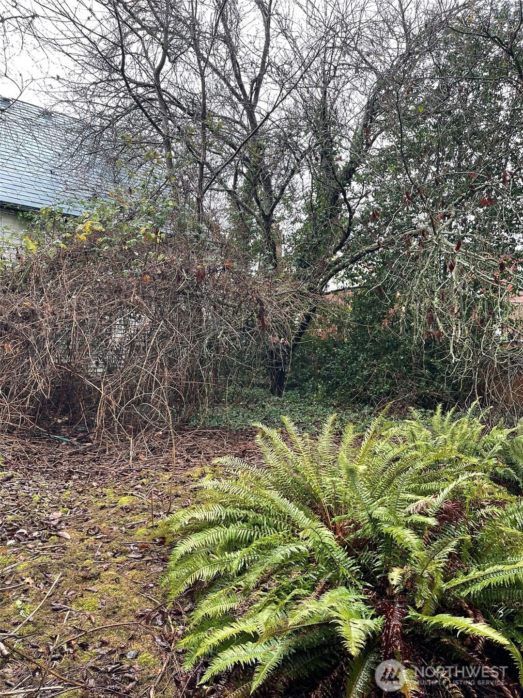 7332 9th Avenue Northwest Seattle, WA 98117 - Photo 10 of 11