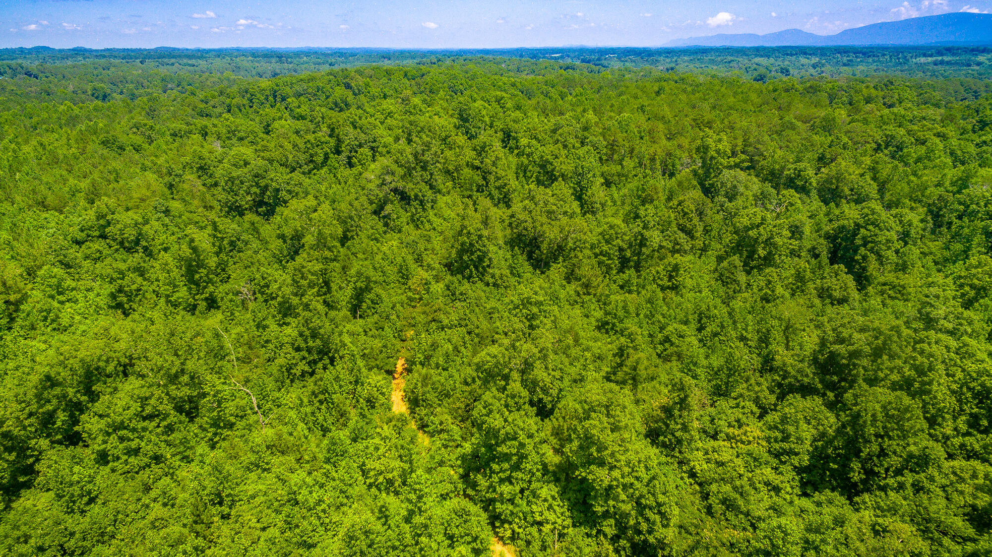 0 Northeast Old York Road Cleveland, TN 37323 - Photo 1 of 29 Old York Rd Lot HD-50