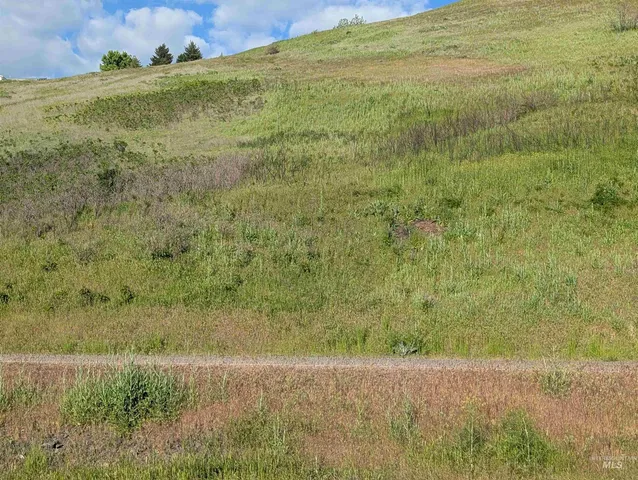 $289,000 | Tbd Tbd Clearwater Drive, Juliaetta, ID 83535