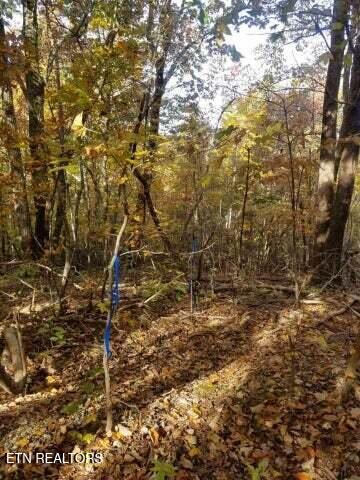0 Tammy Trail Spring Spring City, TN 37381 - Photo 2 of 9 20230318051903353915000000-o