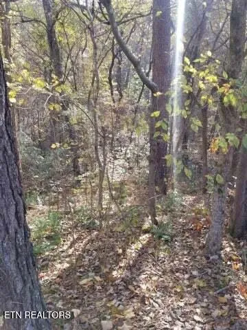 $99,900 | 0 Tammy Trail Spring, Spring City, TN 37381