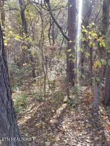 0 Tammy Trail Spring Spring City, TN 37381 - Photo 4 of 9 20230318051905823614000000-o