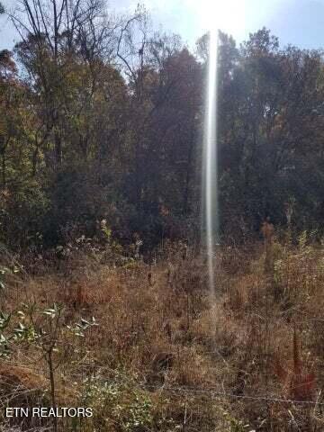 0 Tammy Trail Spring Spring City, TN 37381 - Photo 5 of 9 20230318051905649199000000-o