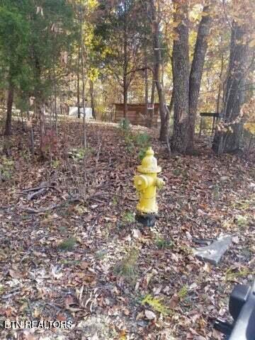 0 Tammy Trail Spring Spring City, TN 37381 - Photo 6 of 9 20230318051905128989000000-o