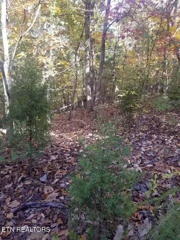 $99,900 | 0 Tammy Trail Spring, Spring City, TN 37381