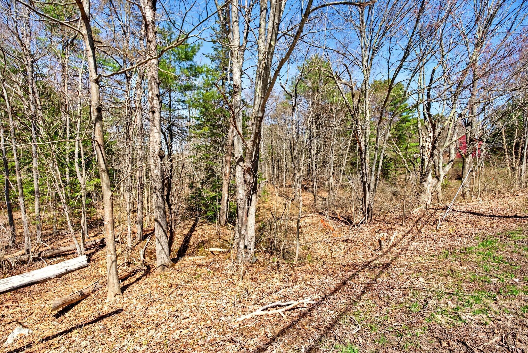 80 B Durham Road Brunswick, ME 04011 - Photo 17 of 18 DSC02053