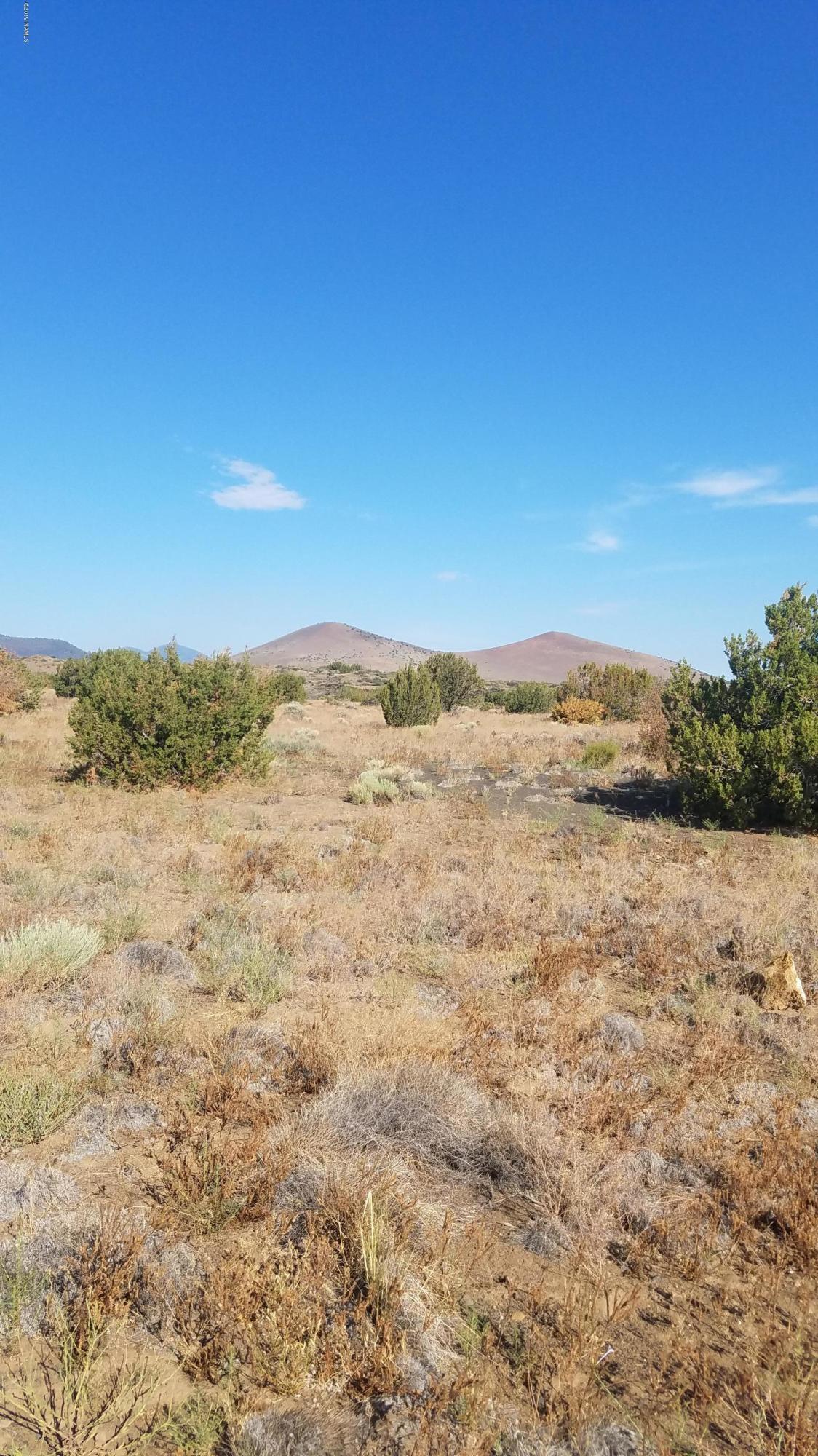 43095 Alpine Ranch Flagstaff, AZ 86004 - Photo 1 of 5 Parcel 1