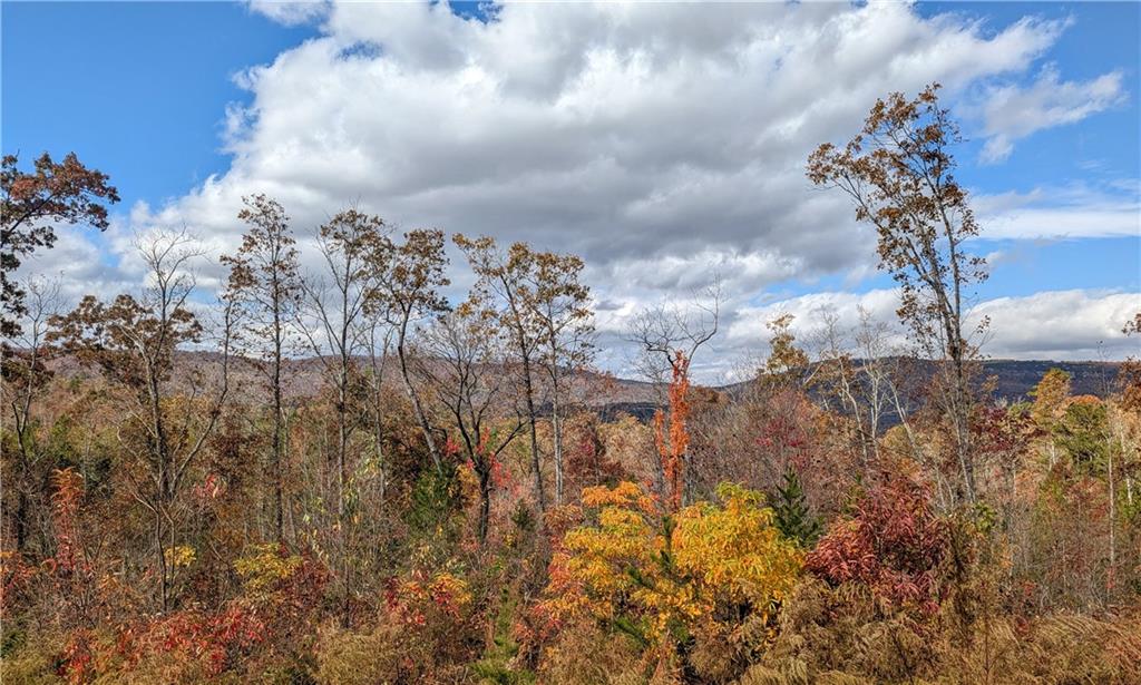 421 Dogwood Lane Rising Fawn, GA 30738 - Photo 20 of 26
