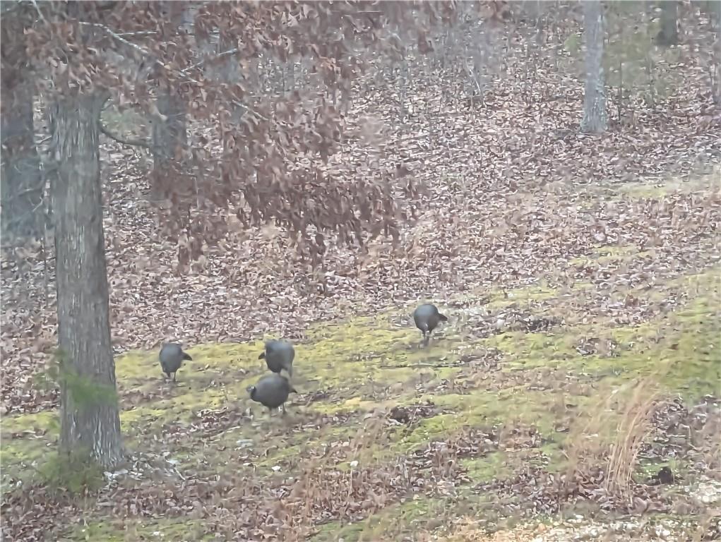 421 Dogwood Lane Rising Fawn, GA 30738 - Photo 25 of 26