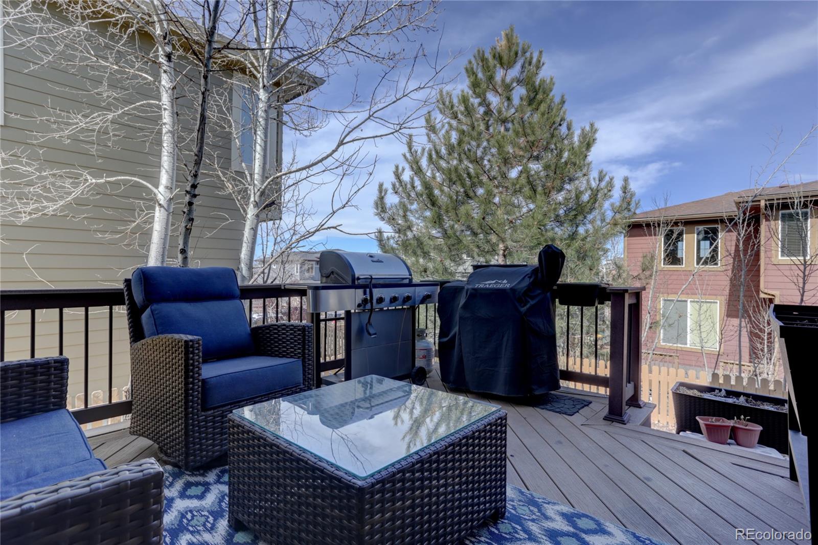 5512 Fullerton Circle Highlands Ranch, CO 80130 - Photo 26 of 30 Gallery Image 26