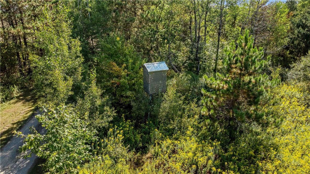 6301 Butts Road Prattsburgh, NY 14873 - Photo 12 of 32