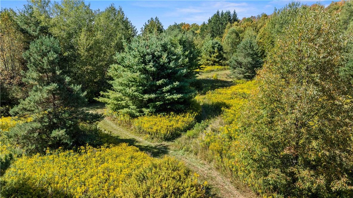 6301 Butts Road Prattsburgh, NY 14873 - Photo 13 of 32