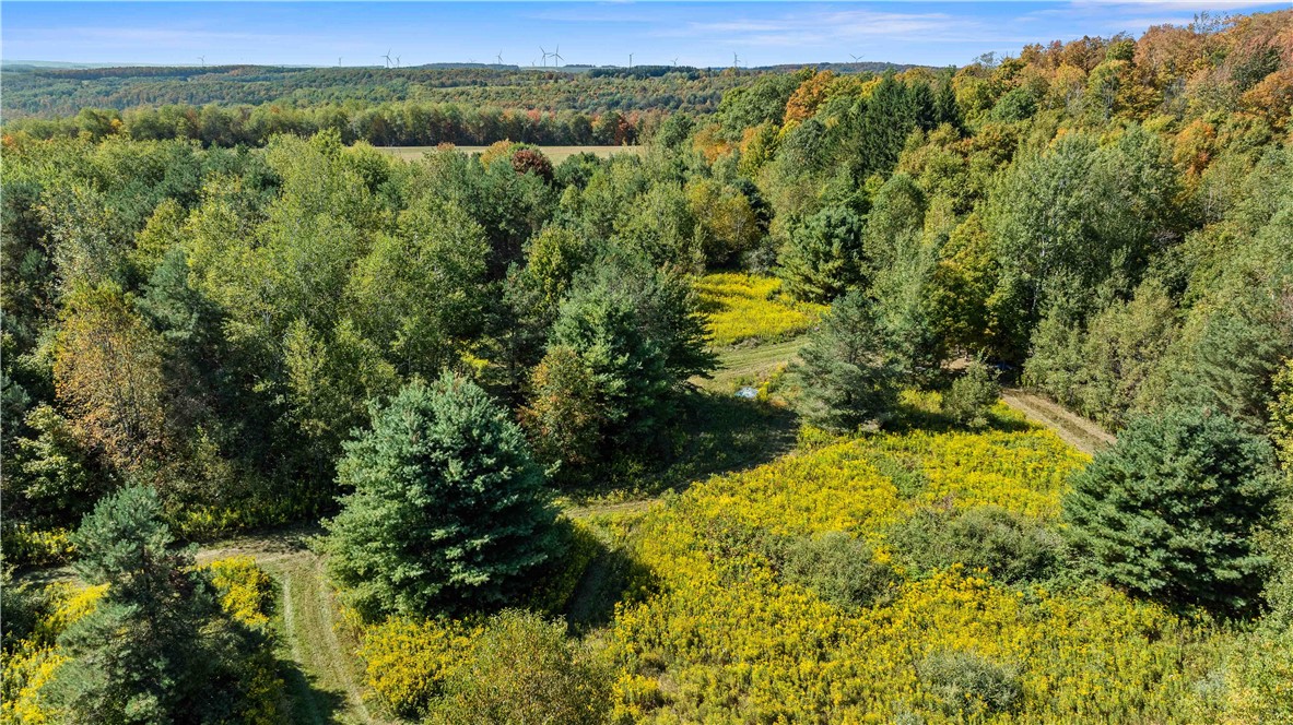 6301 Butts Road Prattsburgh, NY 14873 - Photo 14 of 32