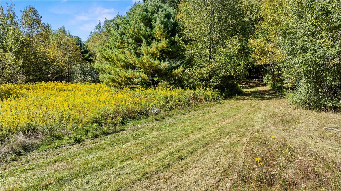 6301 Butts Road Prattsburgh, NY 14873 - Photo 15 of 32