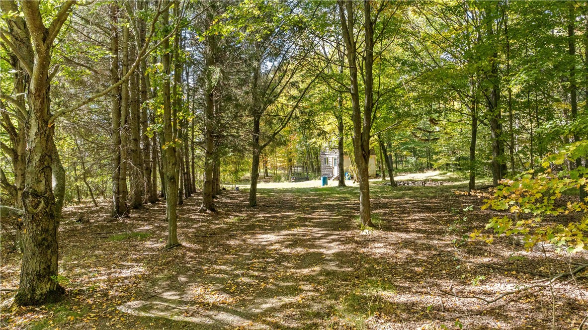 6301 Butts Road Prattsburgh, NY 14873 - Photo 16 of 32