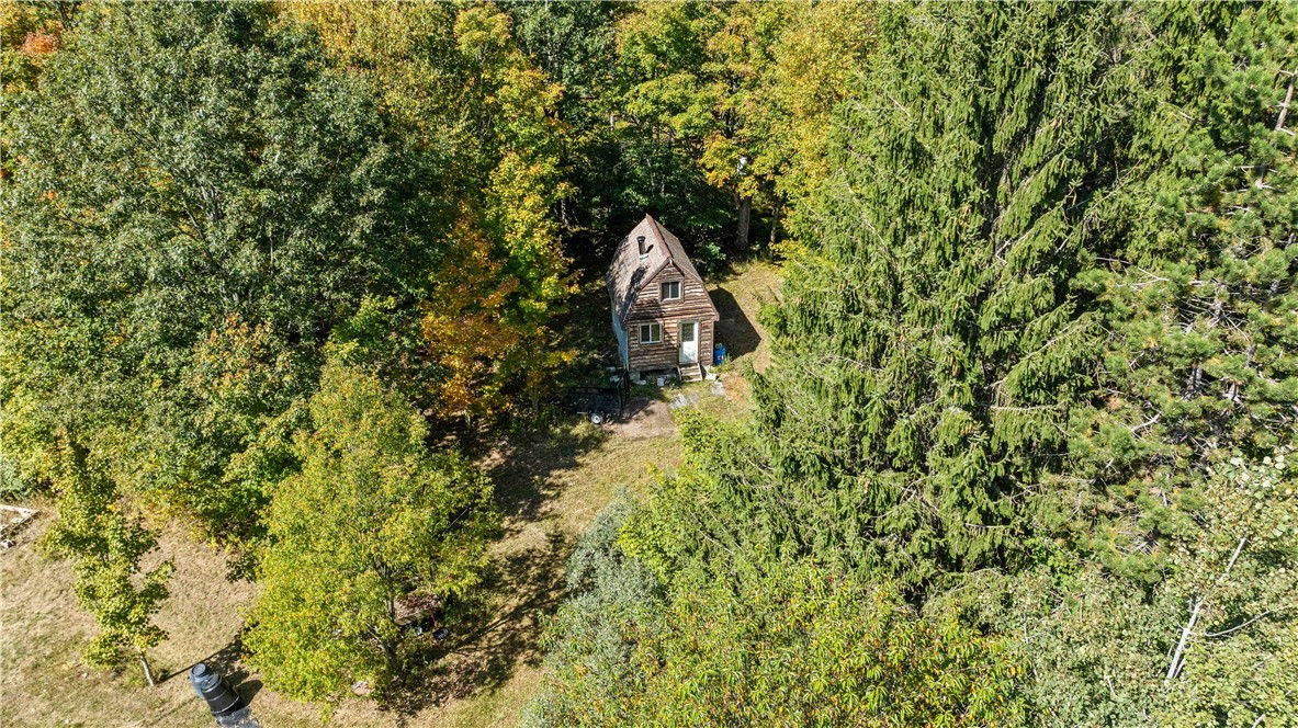 6301 Butts Road Prattsburgh, NY 14873 - Photo 20 of 32