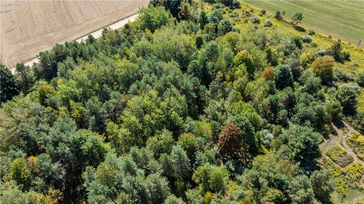 6301 Butts Road Prattsburgh, NY 14873 - Photo 2 of 32