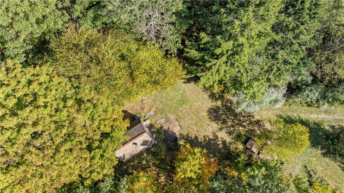 6301 Butts Road Prattsburgh, NY 14873 - Photo 24 of 32