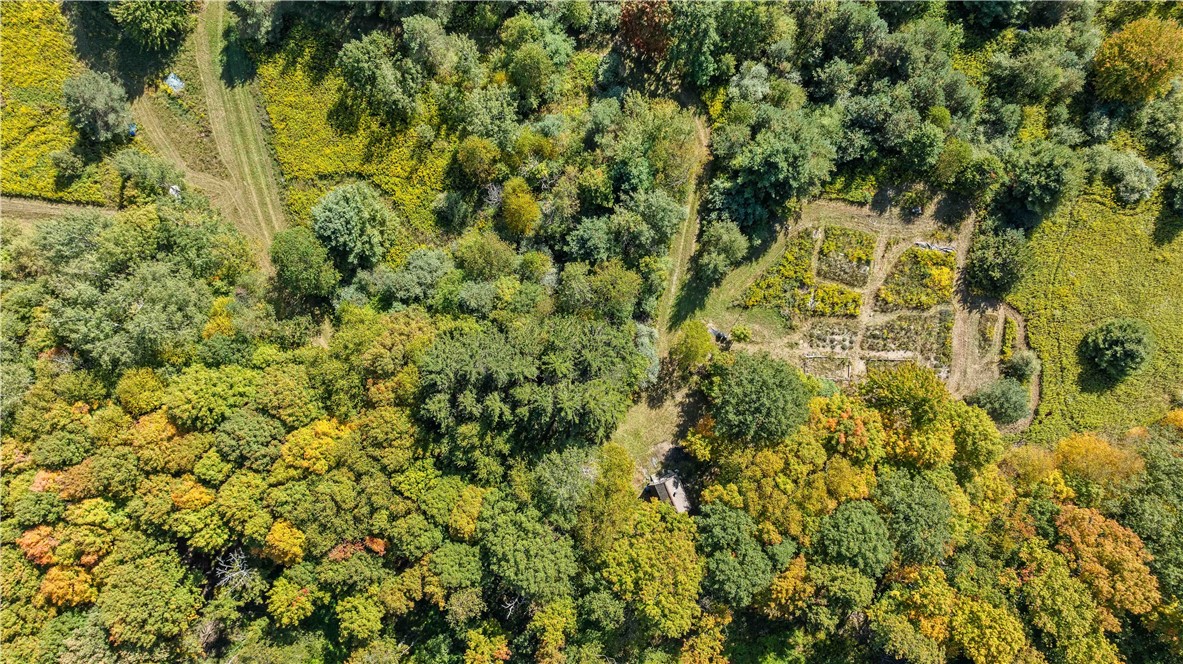 6301 Butts Road Prattsburgh, NY 14873 - Photo 25 of 32