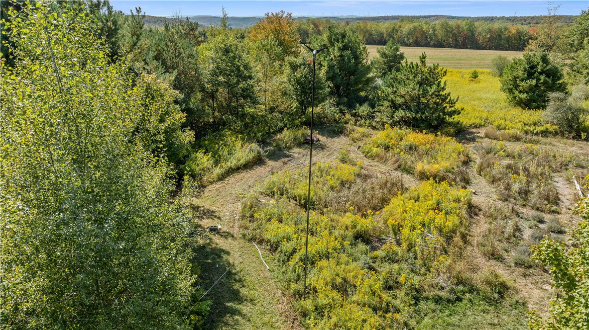 6301 Butts Road Prattsburgh, NY 14873 - Photo 26 of 32