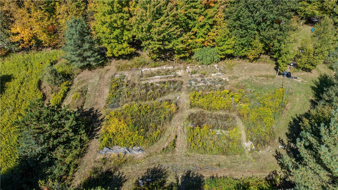 6301 Butts Road Prattsburgh, NY 14873 - Photo 28 of 32