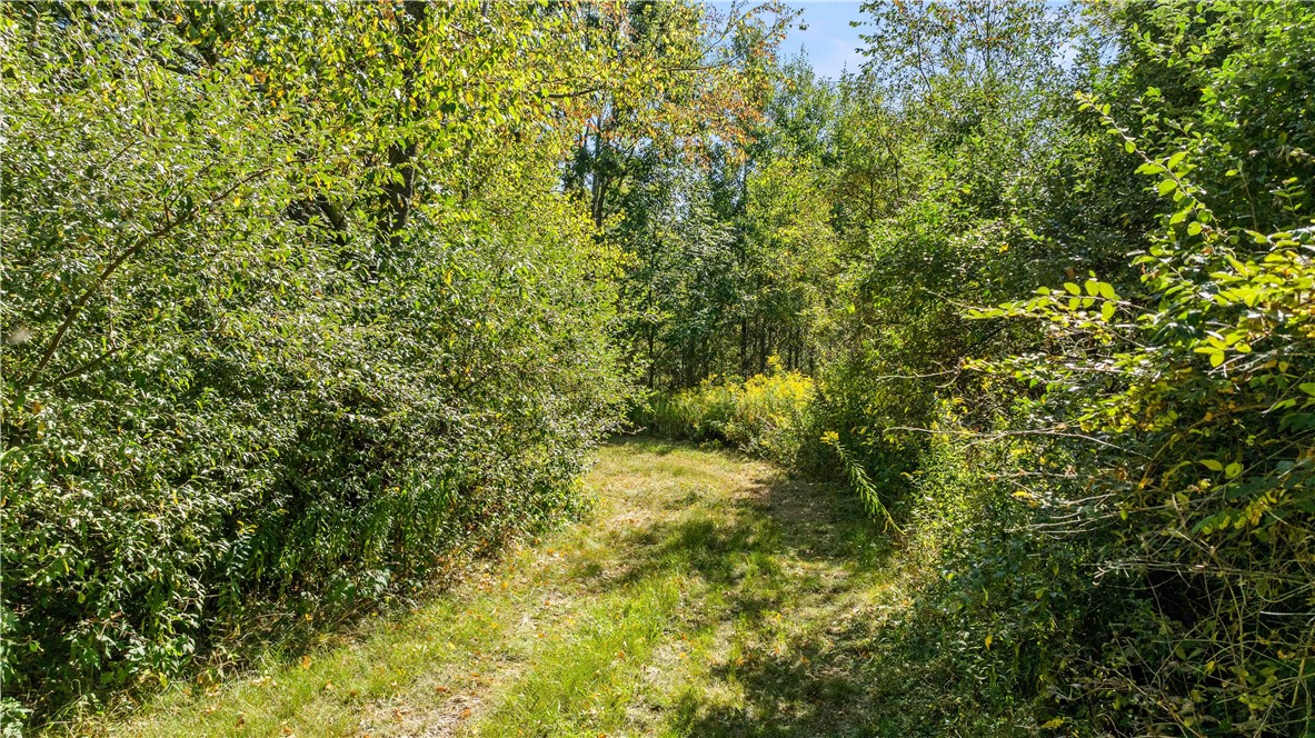 6301 Butts Road Prattsburgh, NY 14873 - Photo 30 of 32