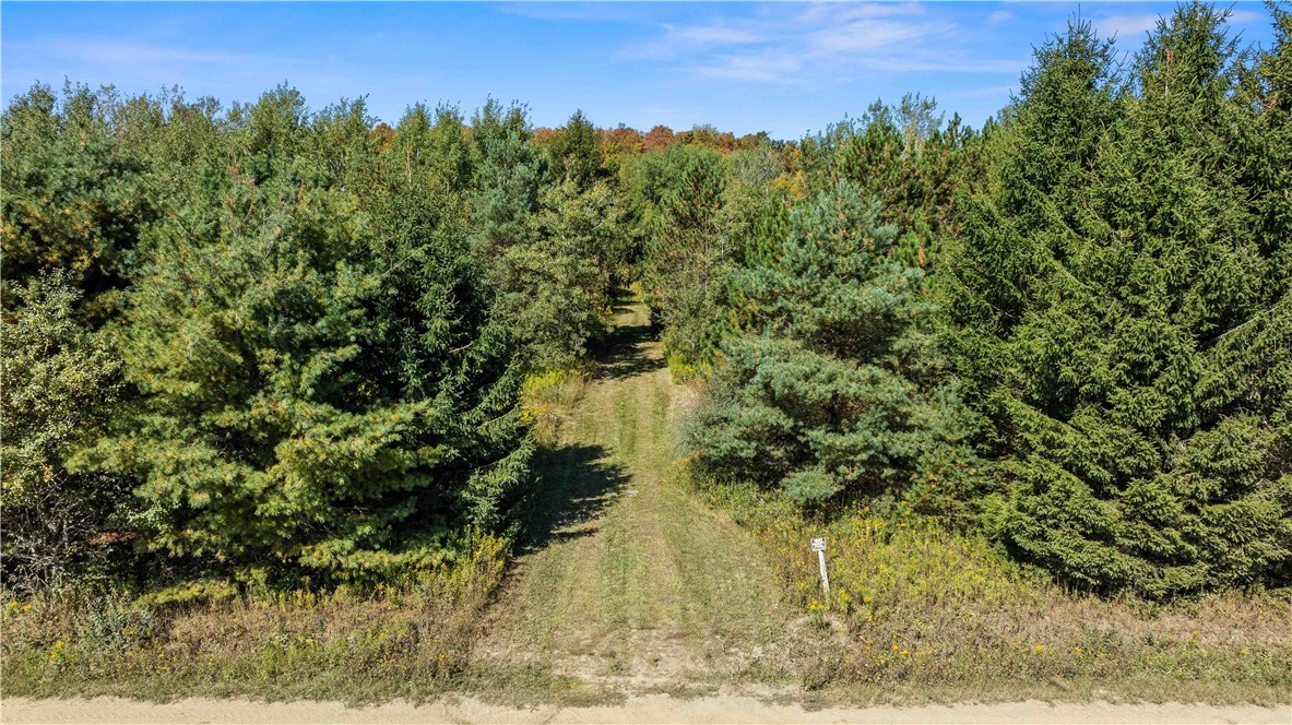 6301 Butts Road Prattsburgh, NY 14873 - Photo 3 of 32