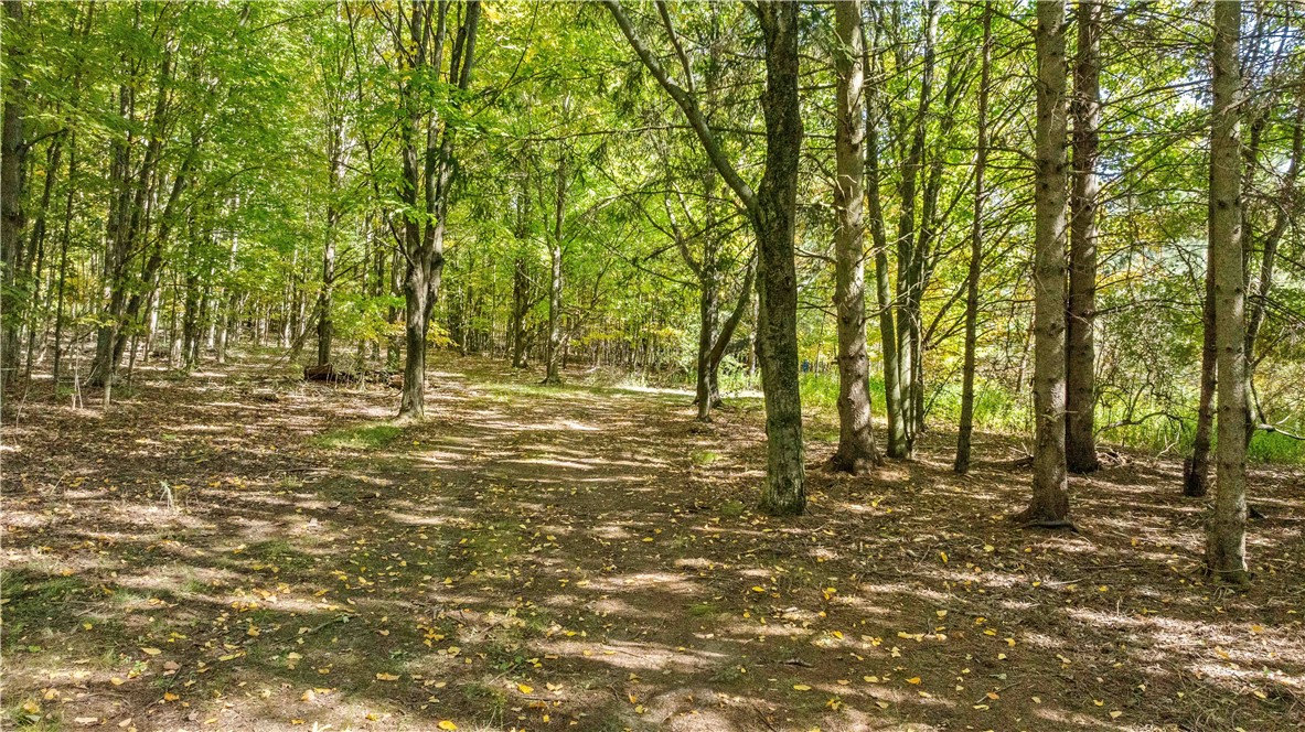 6301 Butts Road Prattsburgh, NY 14873 - Photo 31 of 32