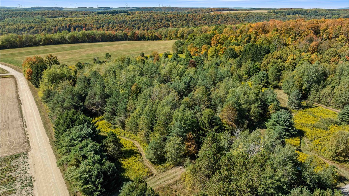 6301 Butts Road Prattsburgh, NY 14873 - Photo 5 of 32