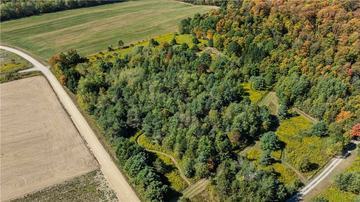 6301 Butts Road Prattsburgh, NY 14873 - Photo 6 of 32