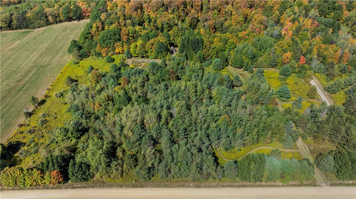 6301 Butts Road Prattsburgh, NY 14873 - Photo 7 of 32